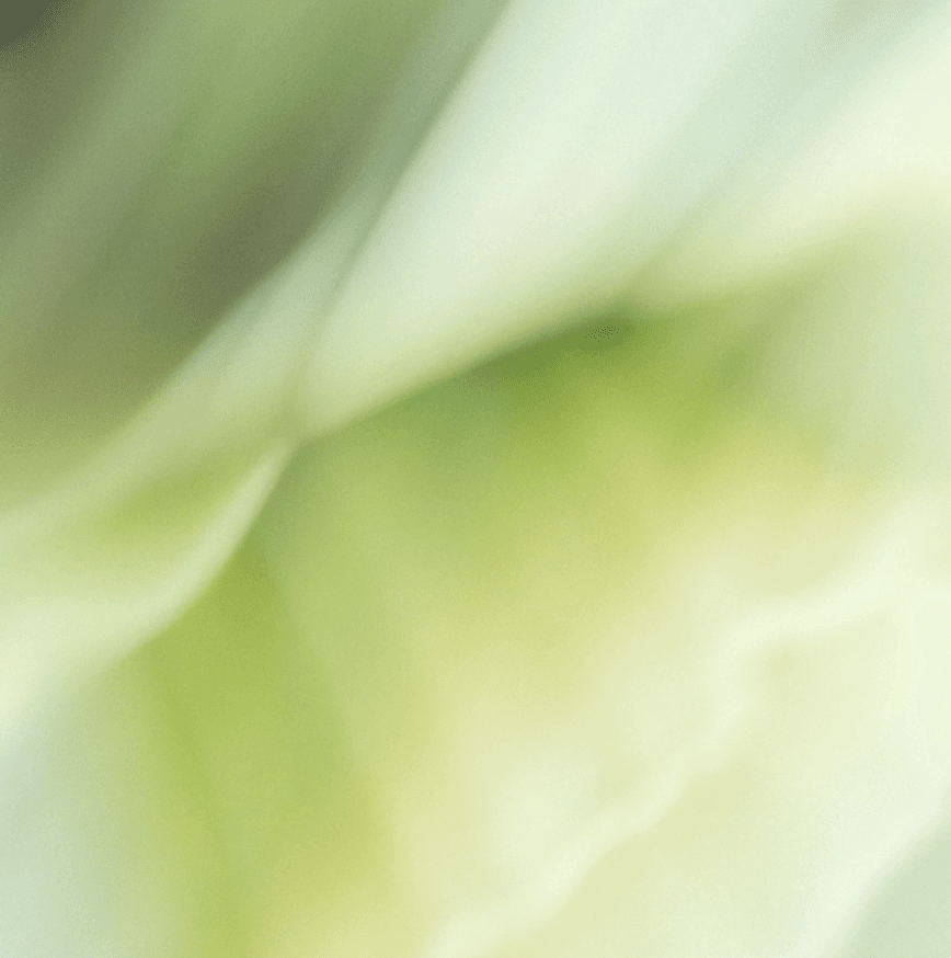 Contact Center Automation: A Complete Guide for 2025