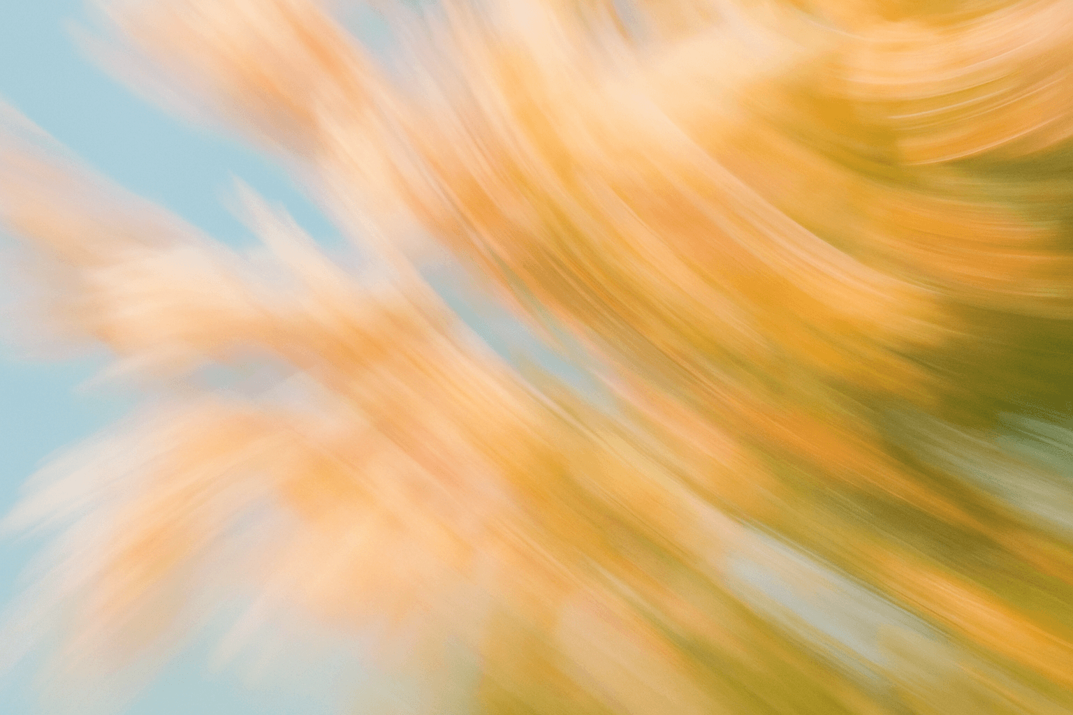 Hero background