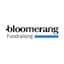 Bloomerang Fundraising icon