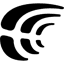 Crowdin icon
