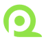 QPoint Survey icon