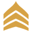 Palaccio icon
