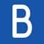 BlueSnap icon