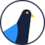 Delivra icon