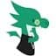 Drag'n Survey icon