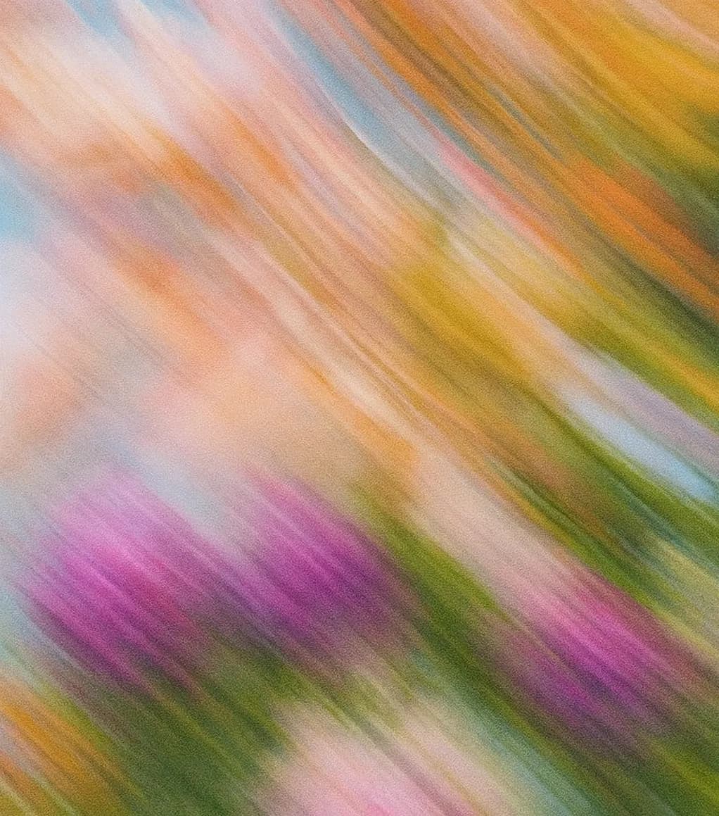 Compliance shield icon overlaying secured ENT medical records and post-op instruction sheets