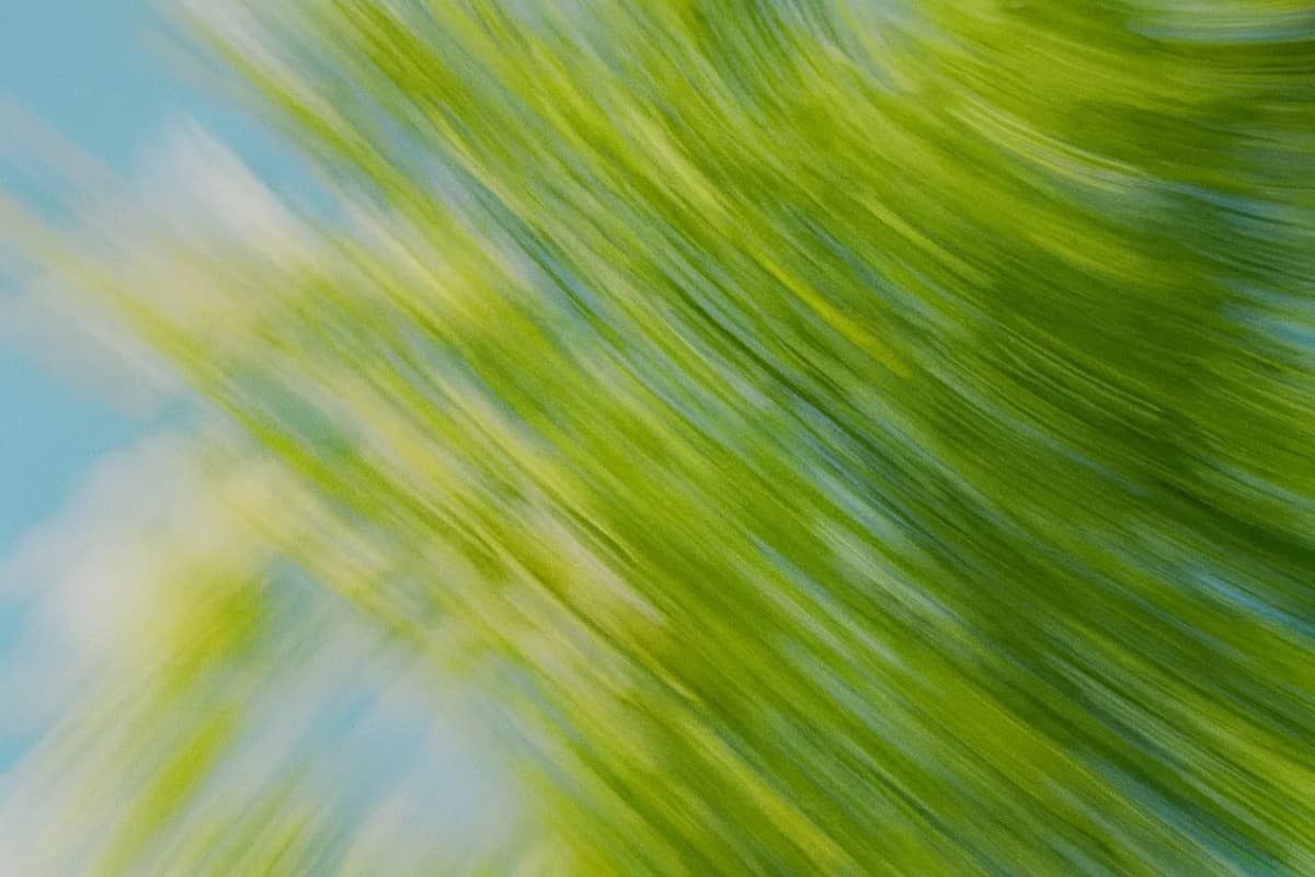 AI dashboard for restaurant order automation