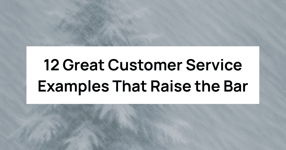 12 Great Customer Service Examples That Raise the Bar (And How You Can, Too)