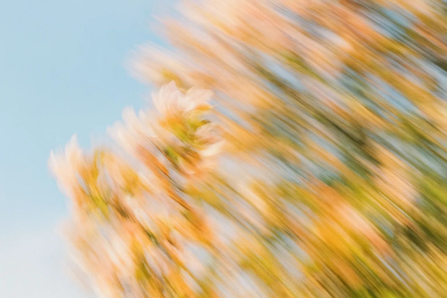The Complete Guide to Speed-to-Lead: Strategies for 2025